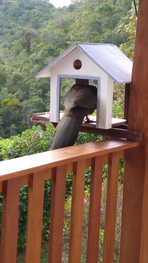维奥康德马奥Casa Sossego Da Montanha别墅 外观 照片