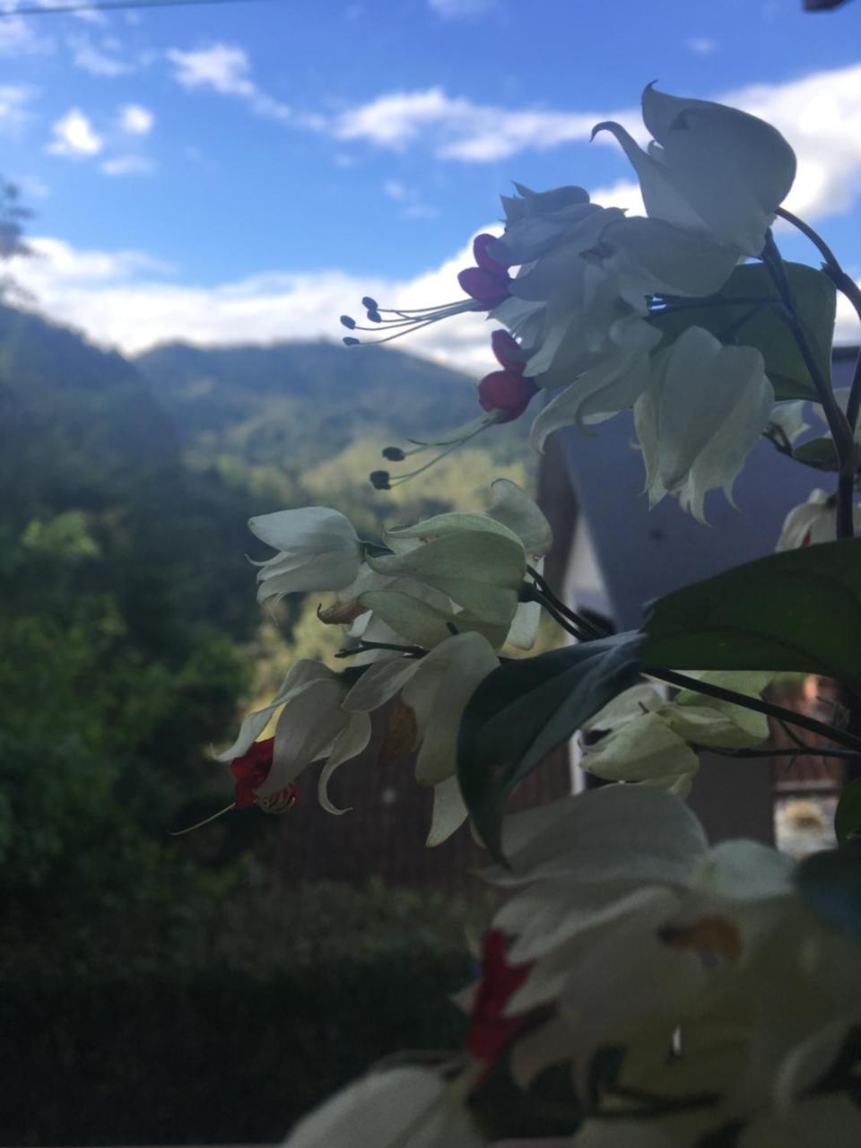 维奥康德马奥Casa Sossego Da Montanha别墅 外观 照片